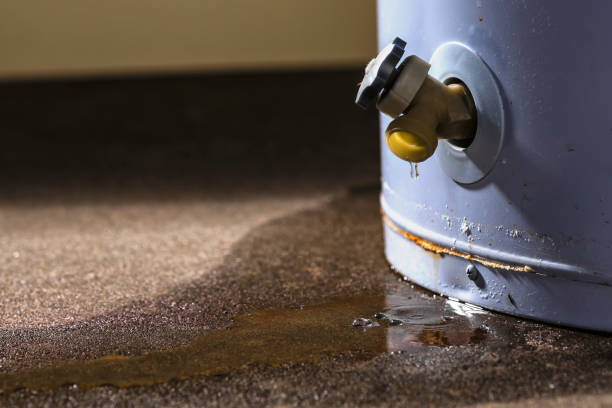 Best Sewage cleanup and water damage restoration  in Yoe, PA