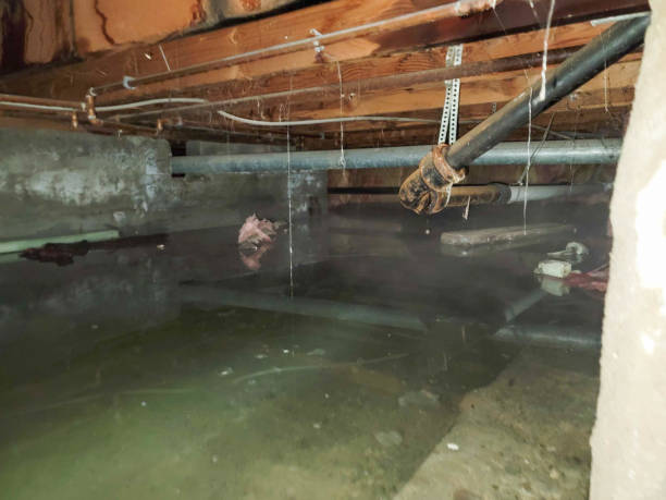  Yoe, PA Water damage restoration Pros