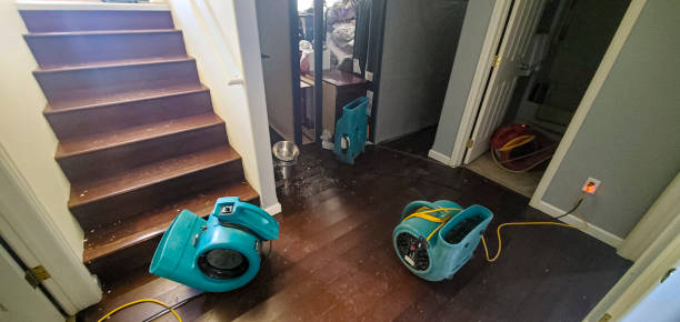 Best Carpet water damage restoration  in Yoe, PA
