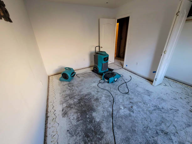 Best Mold removal after water damage  in Yoe, PA