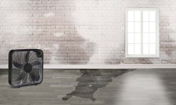 Best Water damage restoration process  in Yoe, PA